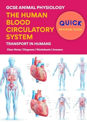 The Human Blood and Circulatory System cover