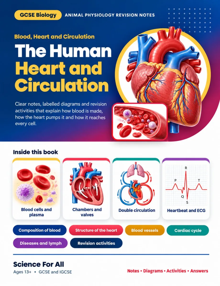 Heart & Circulation – GCSE Biology Revision Notes cover