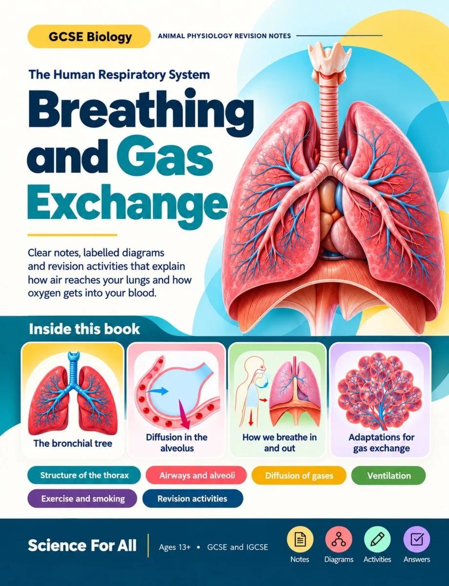 Breathing & Gas Exchange – GCSE Biology Revision Notes cover