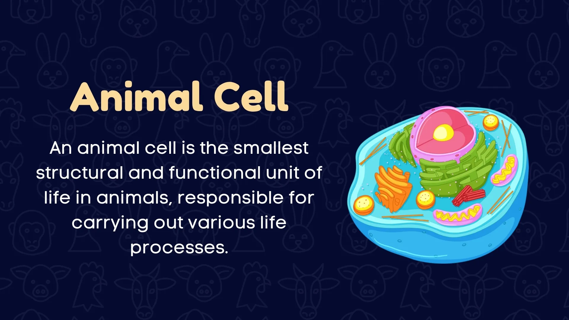 Animal Cell Definition