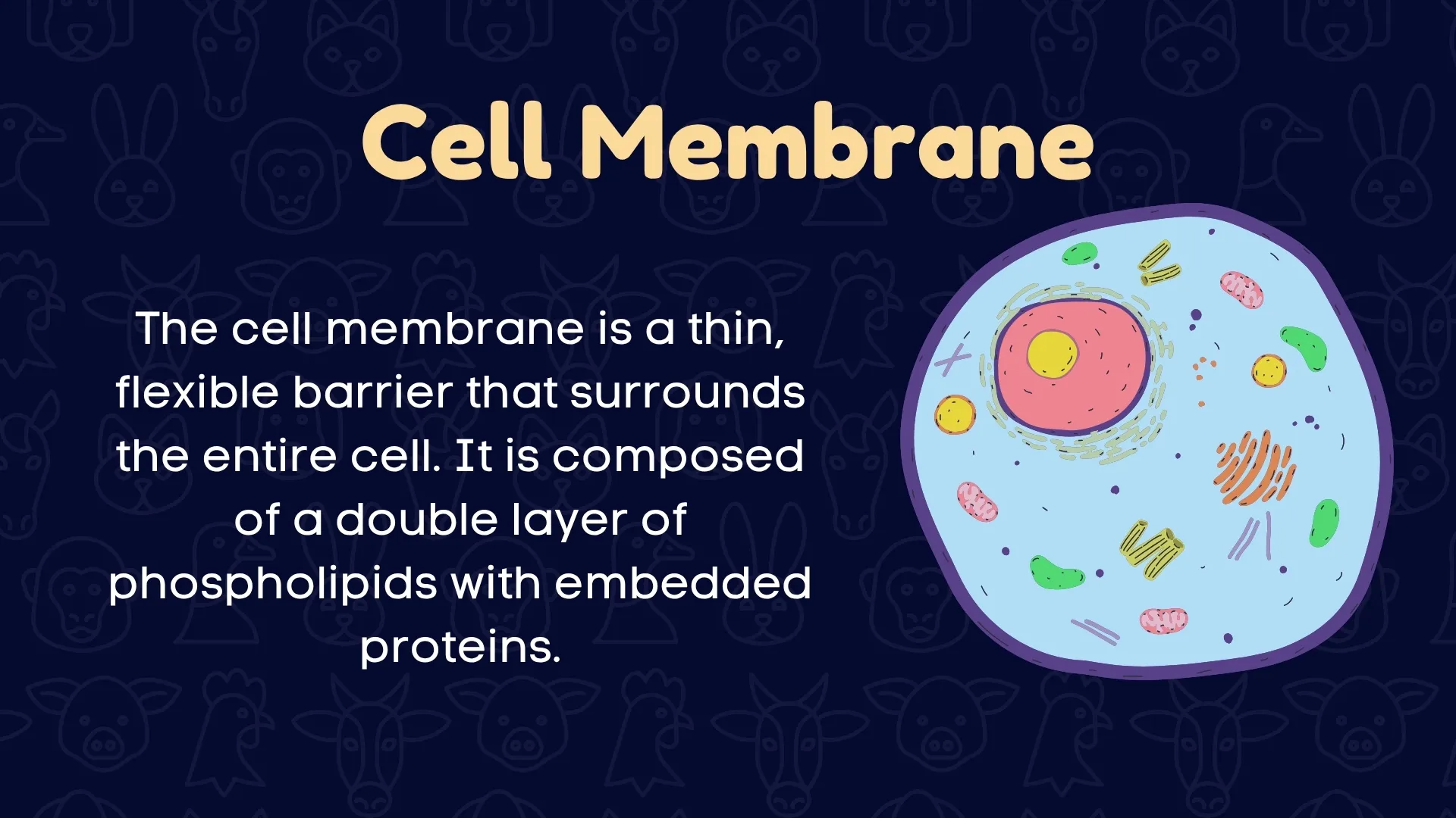 Cell Membrane
