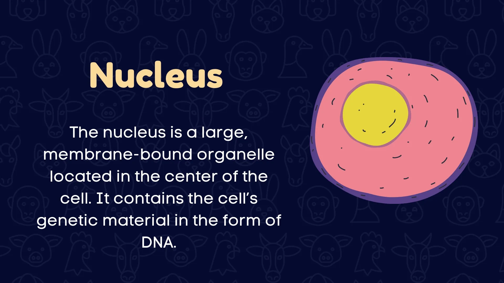 Nucleus