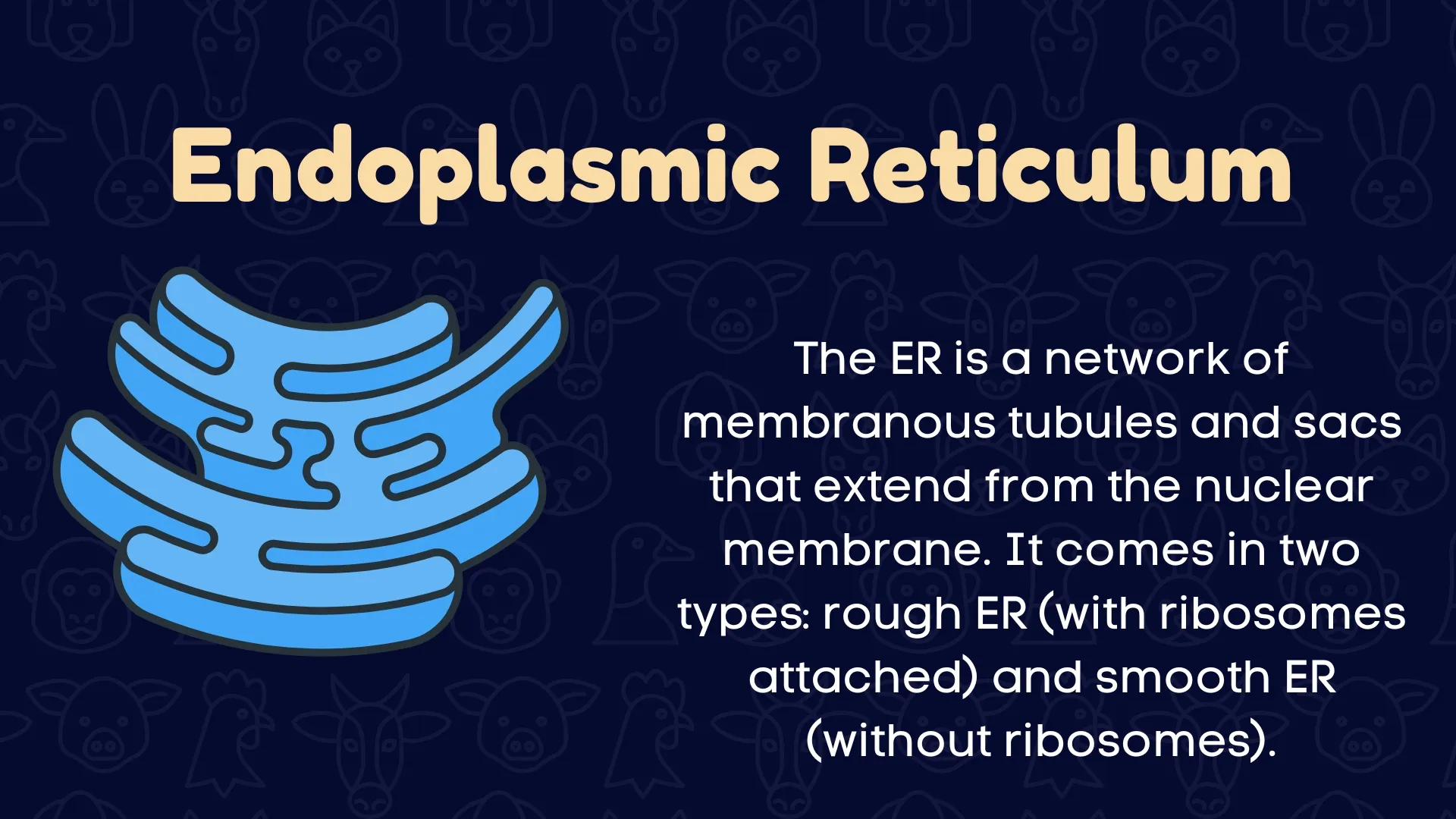 Endoplasmic Reticulum
