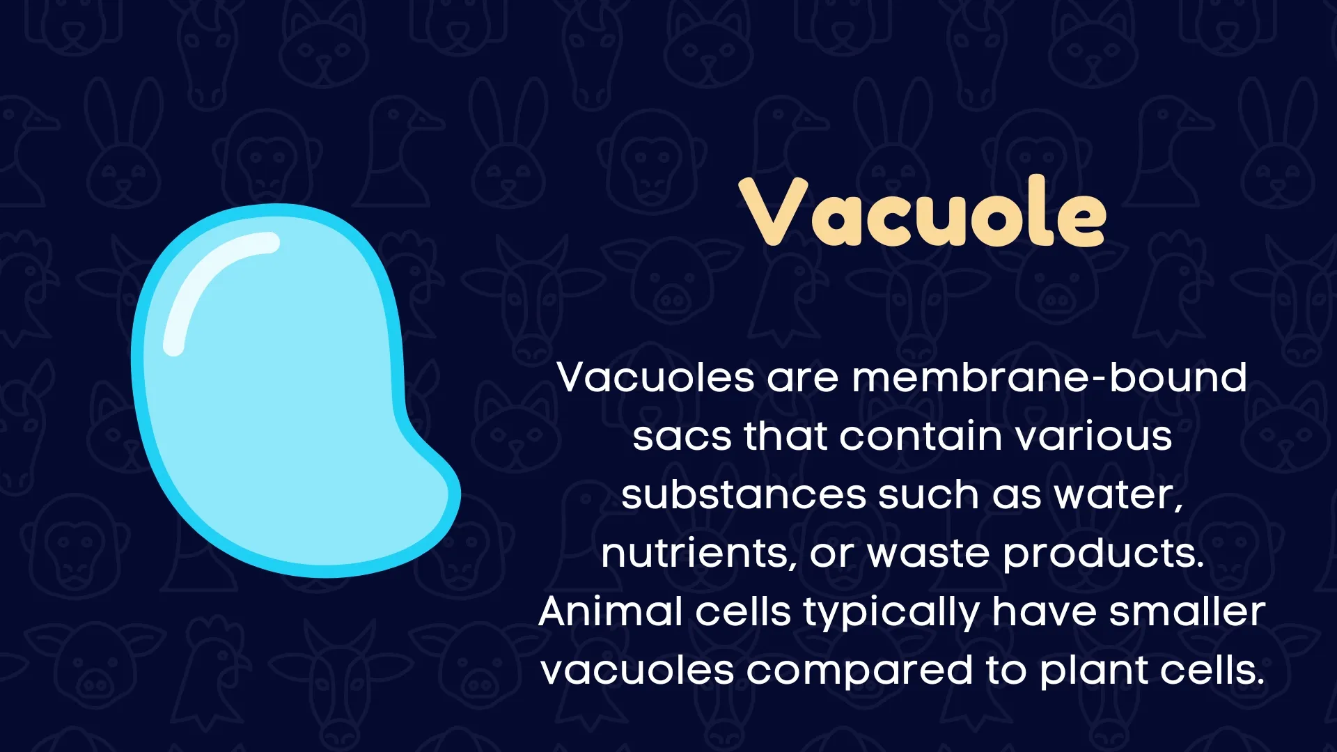 Vacuole