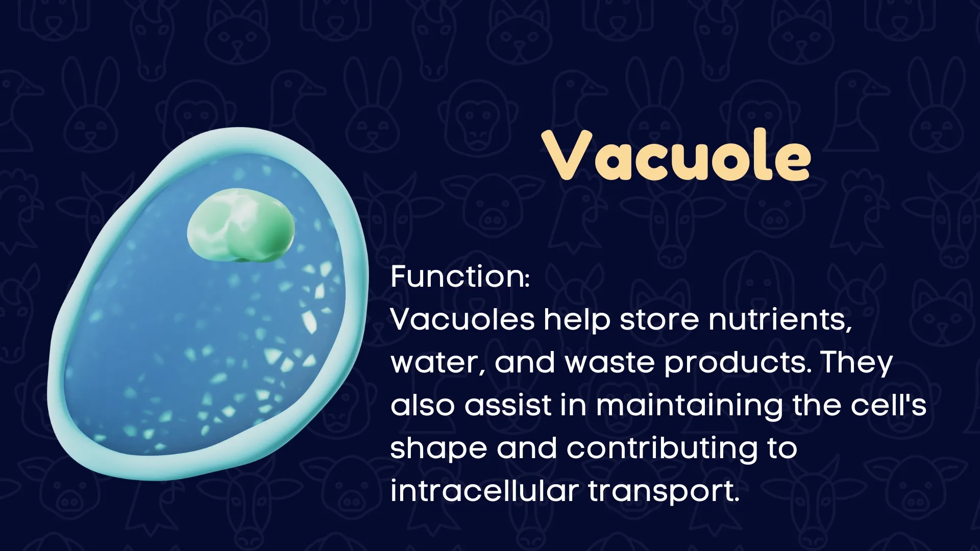 Vacuole Function