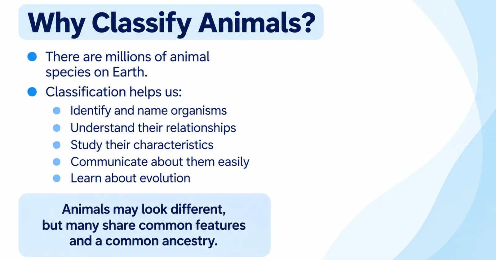 Why classify animals: to identify and name organisms, understand relationships, study characteristics, communicate and learn about evolution