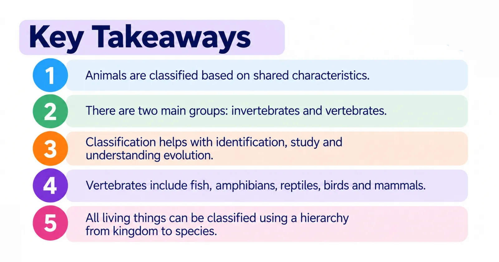 Animal classification key takeaways: shared characteristics, invertebrates and vertebrates, five vertebrate classes, kingdom-to-species hierarchy