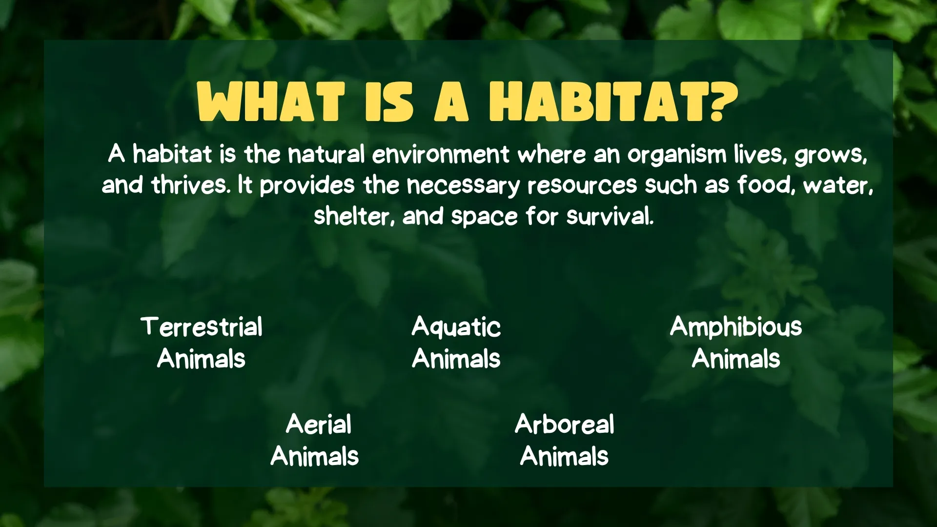 What is a Habitat?