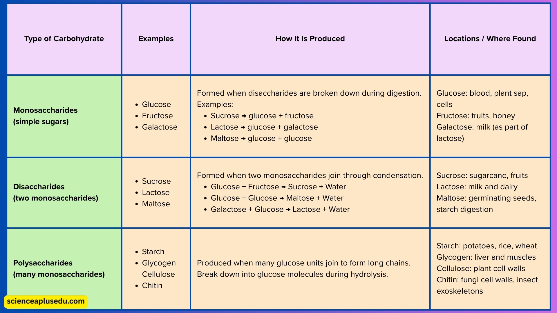 Summary table showing types of carbohydrates with examples and locations