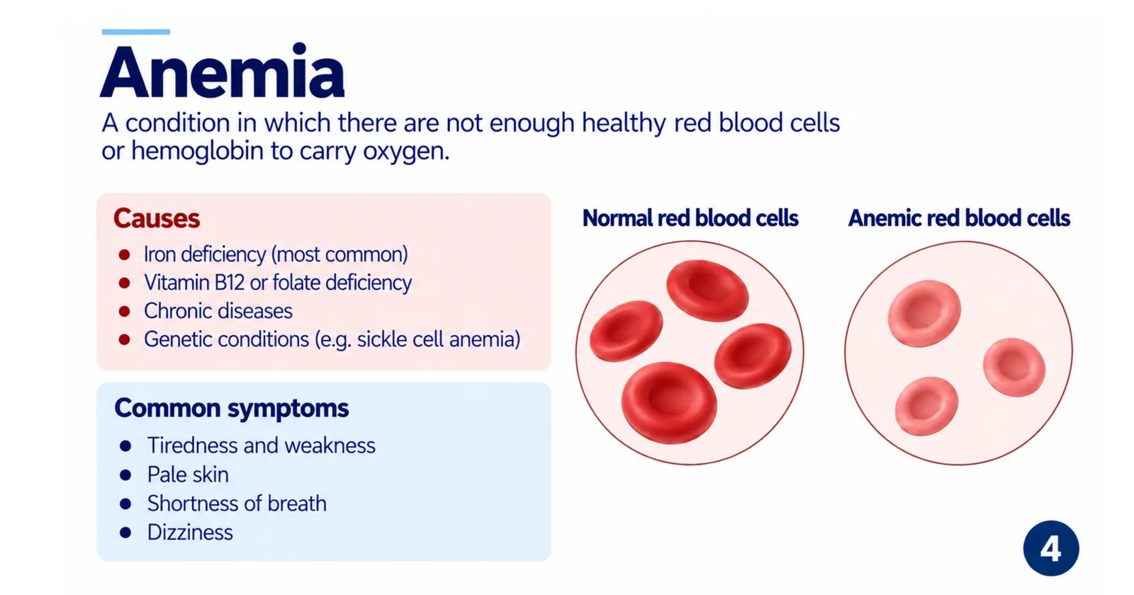 Anaemia: causes such as iron or vitamin deficiency, common symptoms, and normal versus anaemic red blood cells