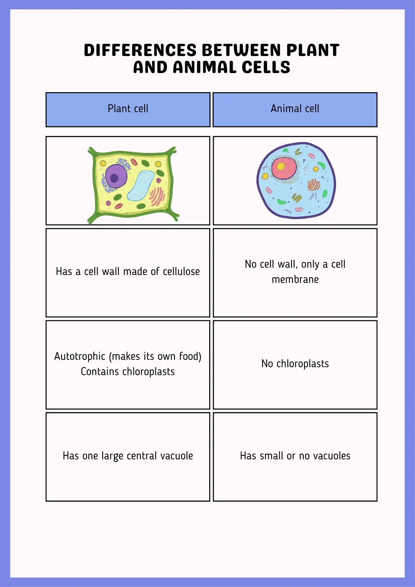 Plant vs Animal Cells Comparison