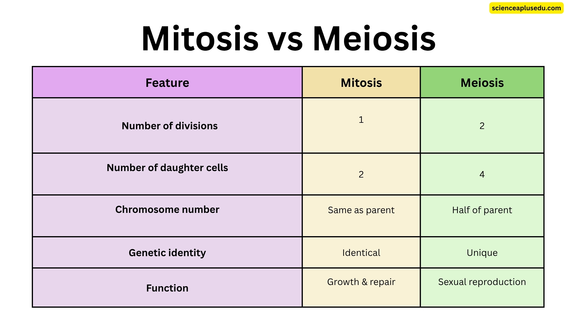 Comparison table showing key differences between mitosis and meiosis including number of divisions daughter cells chromosome number genetic identity and biological function