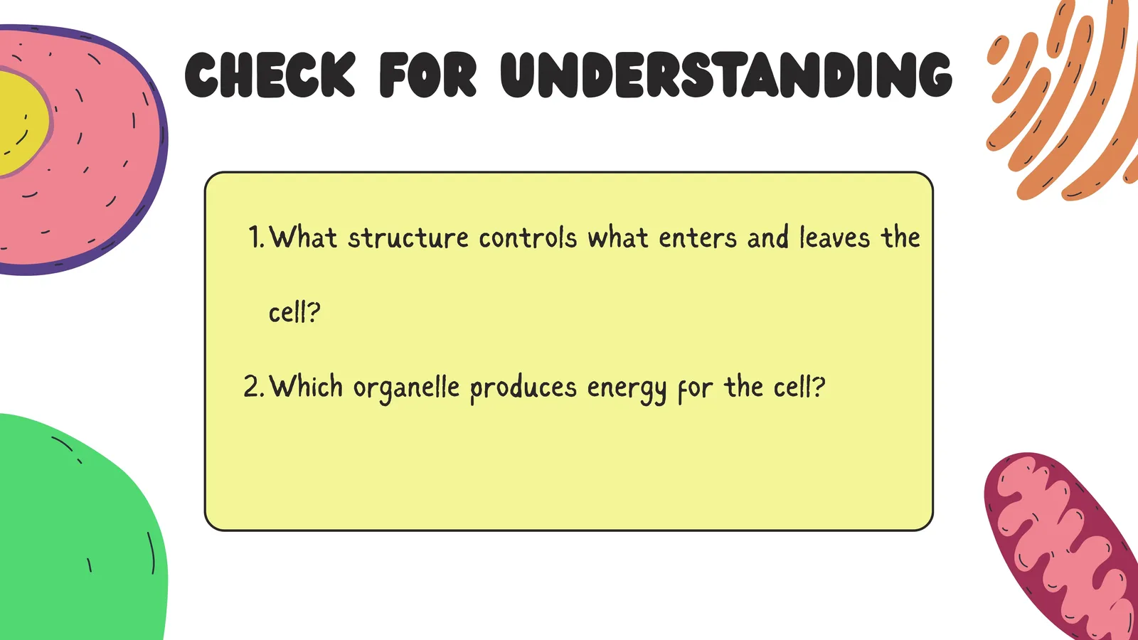Check for understanding: which structure controls what enters and leaves the cell, and which organelle produces energy