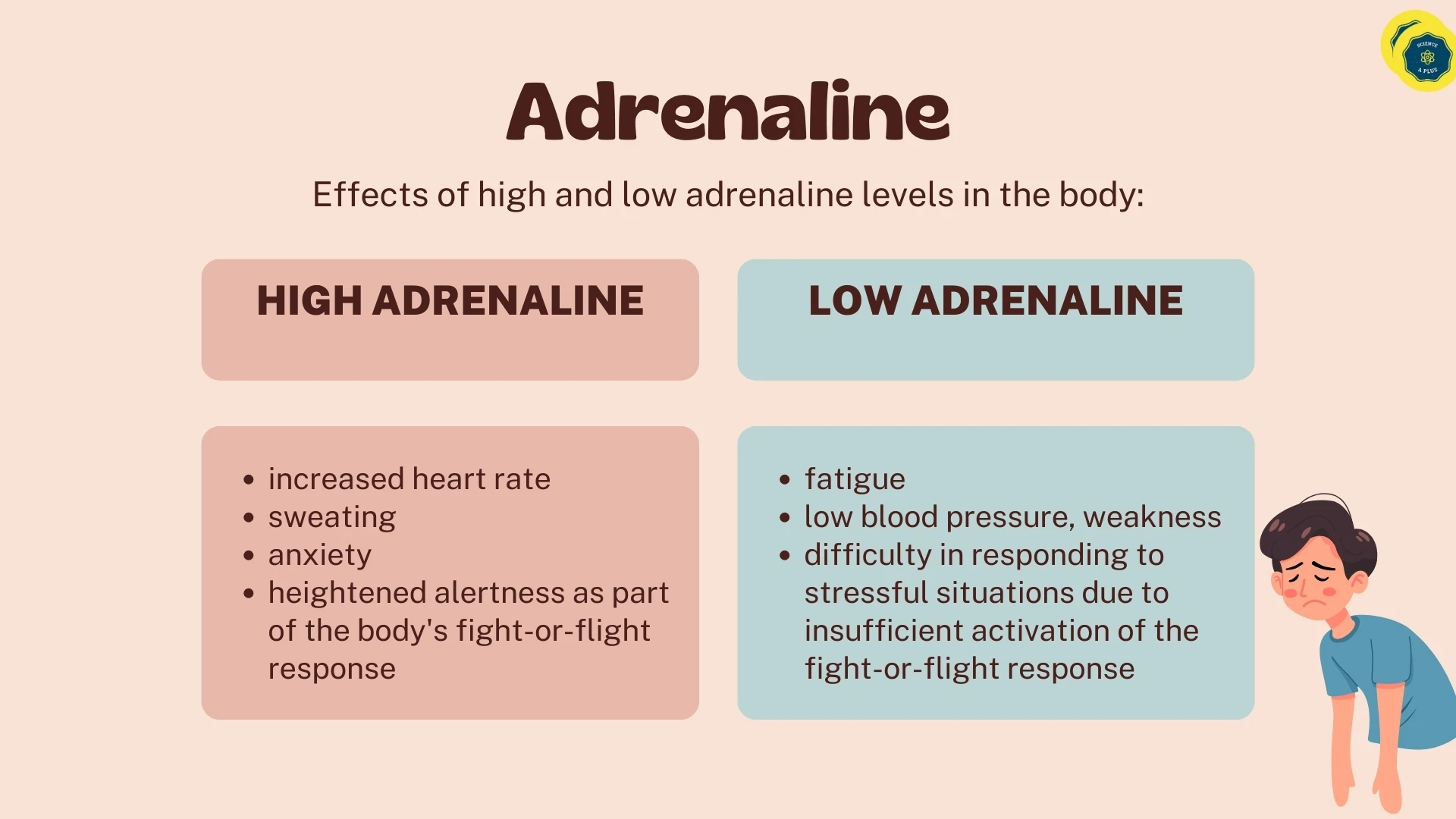 High and Low Adrenaline Effects