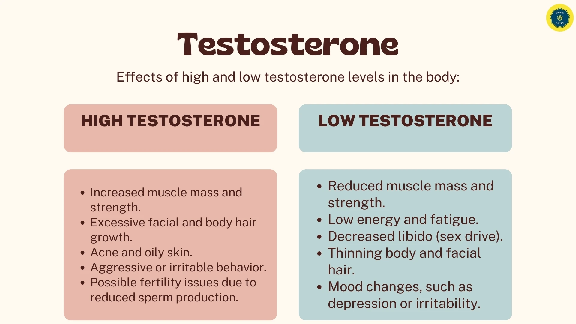 High and Low Testosterone Effects