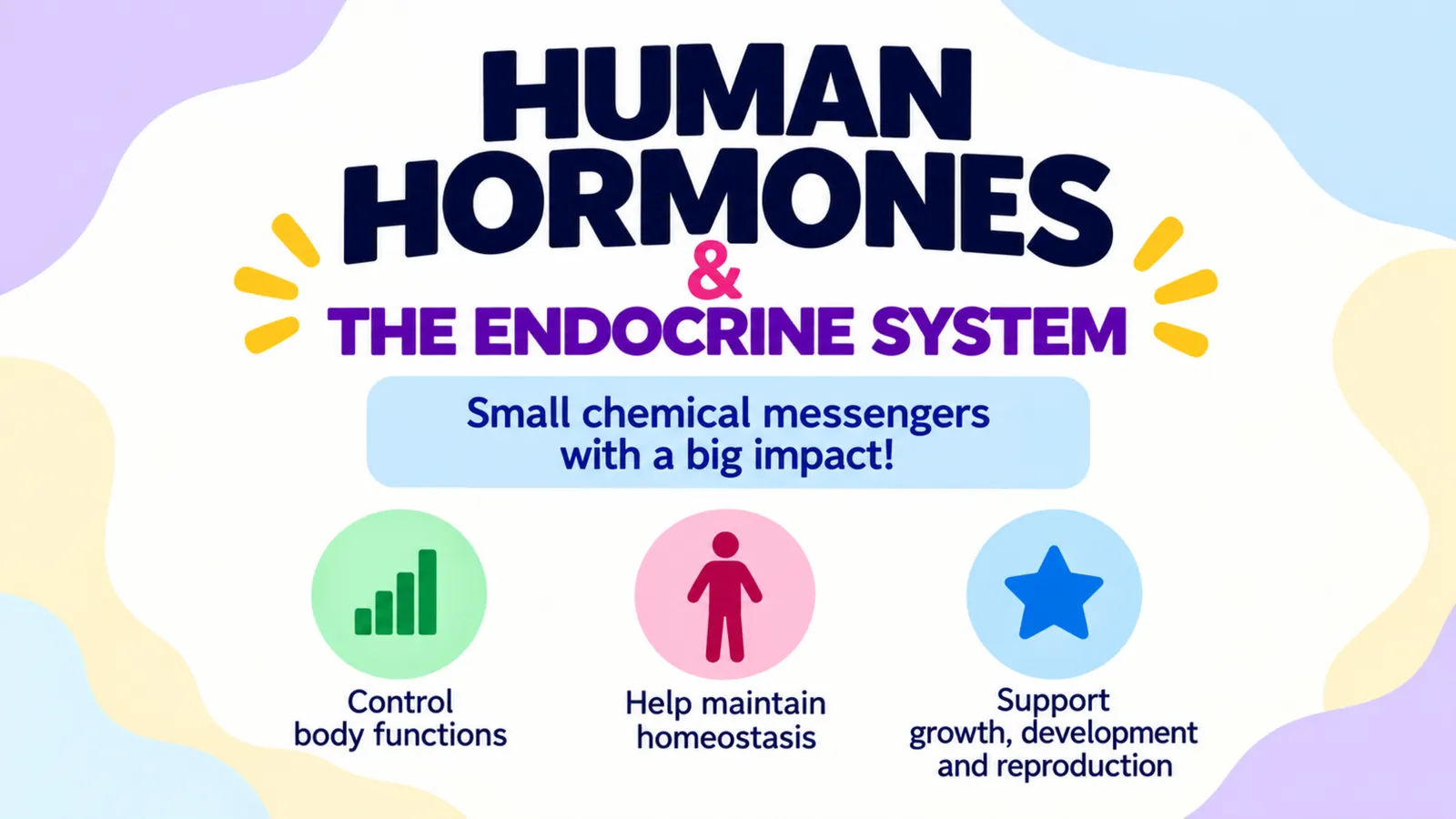 Human hormones and the endocrine system: small chemical messengers that control body functions, help maintain homeostasis and support growth, development and reproduction