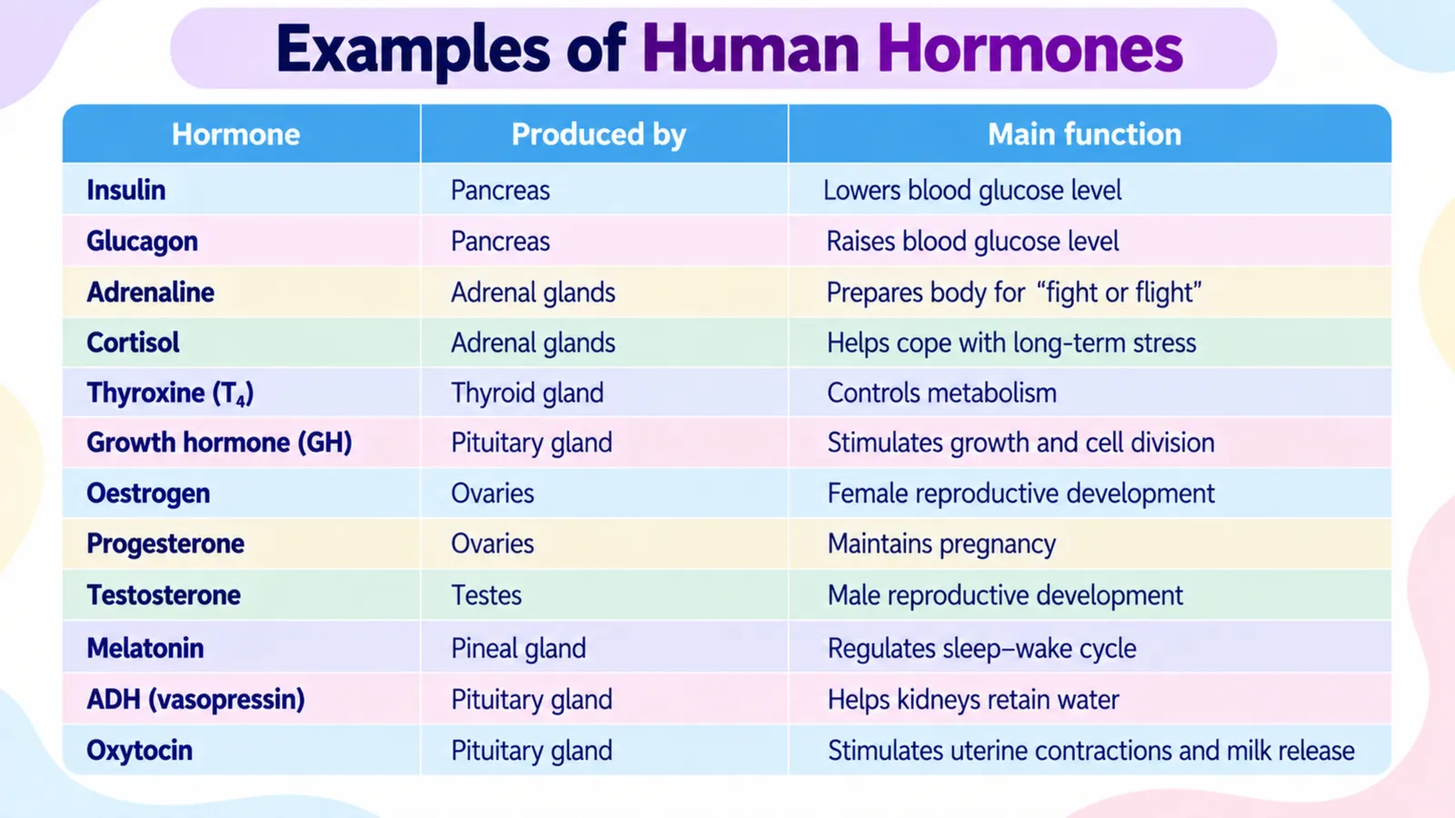 Examples of human hormones table: insulin, glucagon, adrenaline, cortisol, thyroxine, growth hormone, sex hormones, melatonin, ADH and oxytocin with the gland that makes each