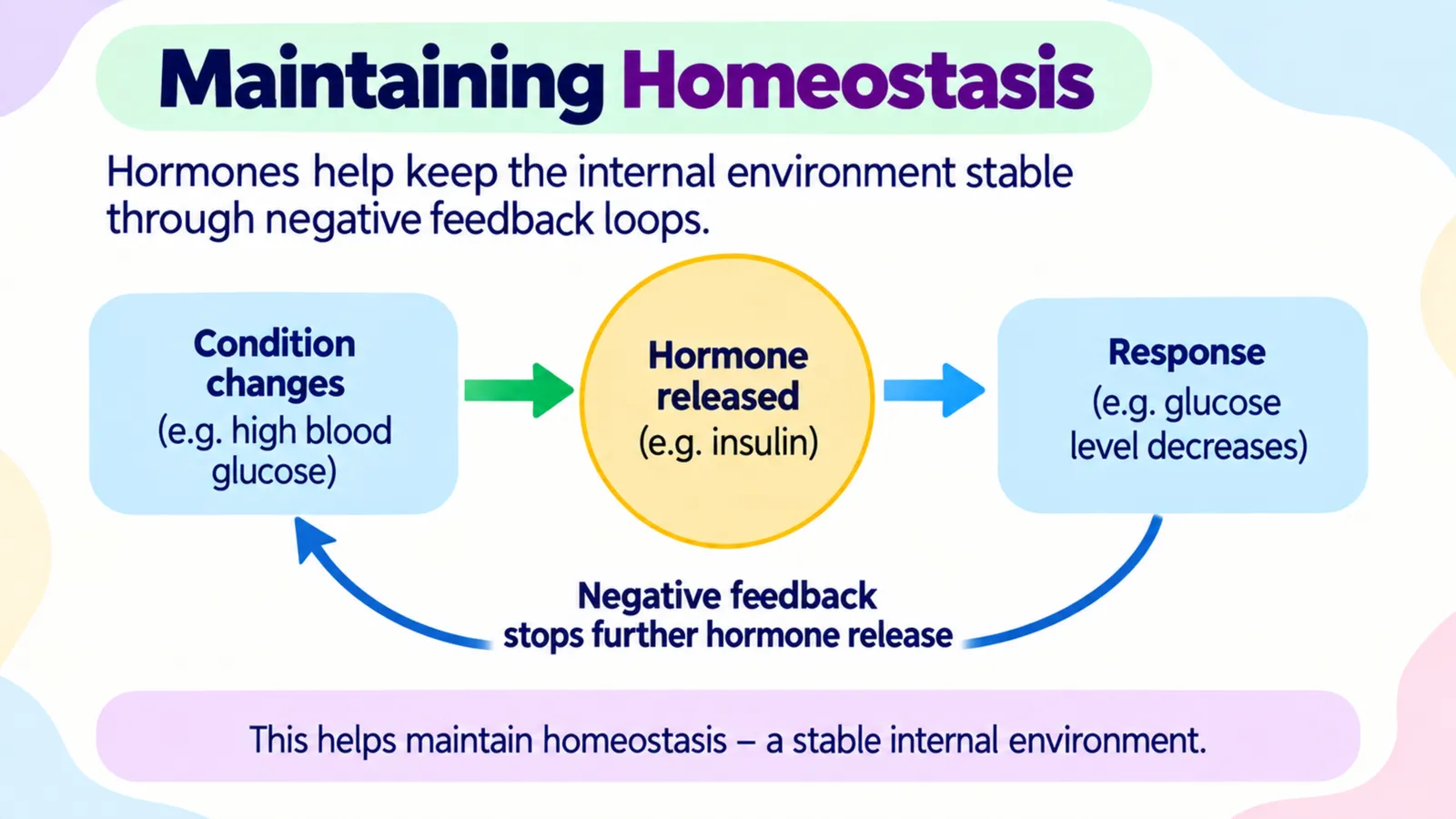 Negative feedback loop: a condition change such as high blood glucose triggers hormone release such as insulin, the response lowers glucose and stops further hormone release