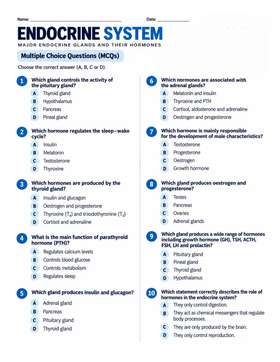Multiple choice questions worksheet preview