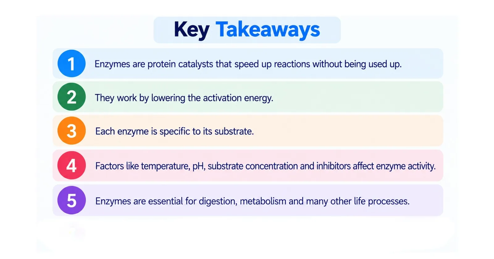Enzymes key takeaways: protein catalysts, lower activation energy, specific to one substrate, affected by temperature, pH, substrate concentration and inhibitors