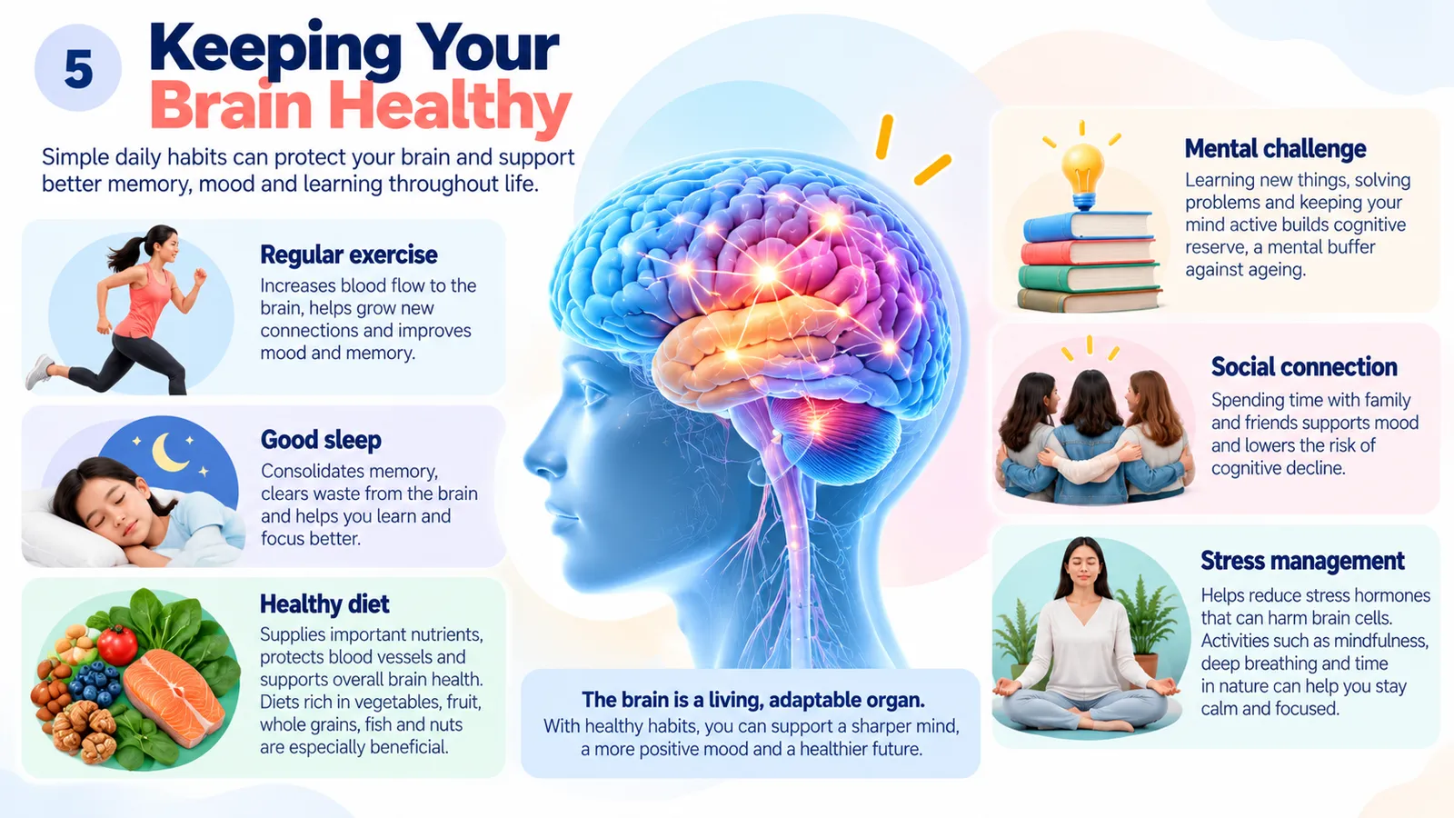 Keeping your brain healthy: regular exercise, good sleep, healthy diet, mental challenge, social connection and stress management, and how each helps the brain
