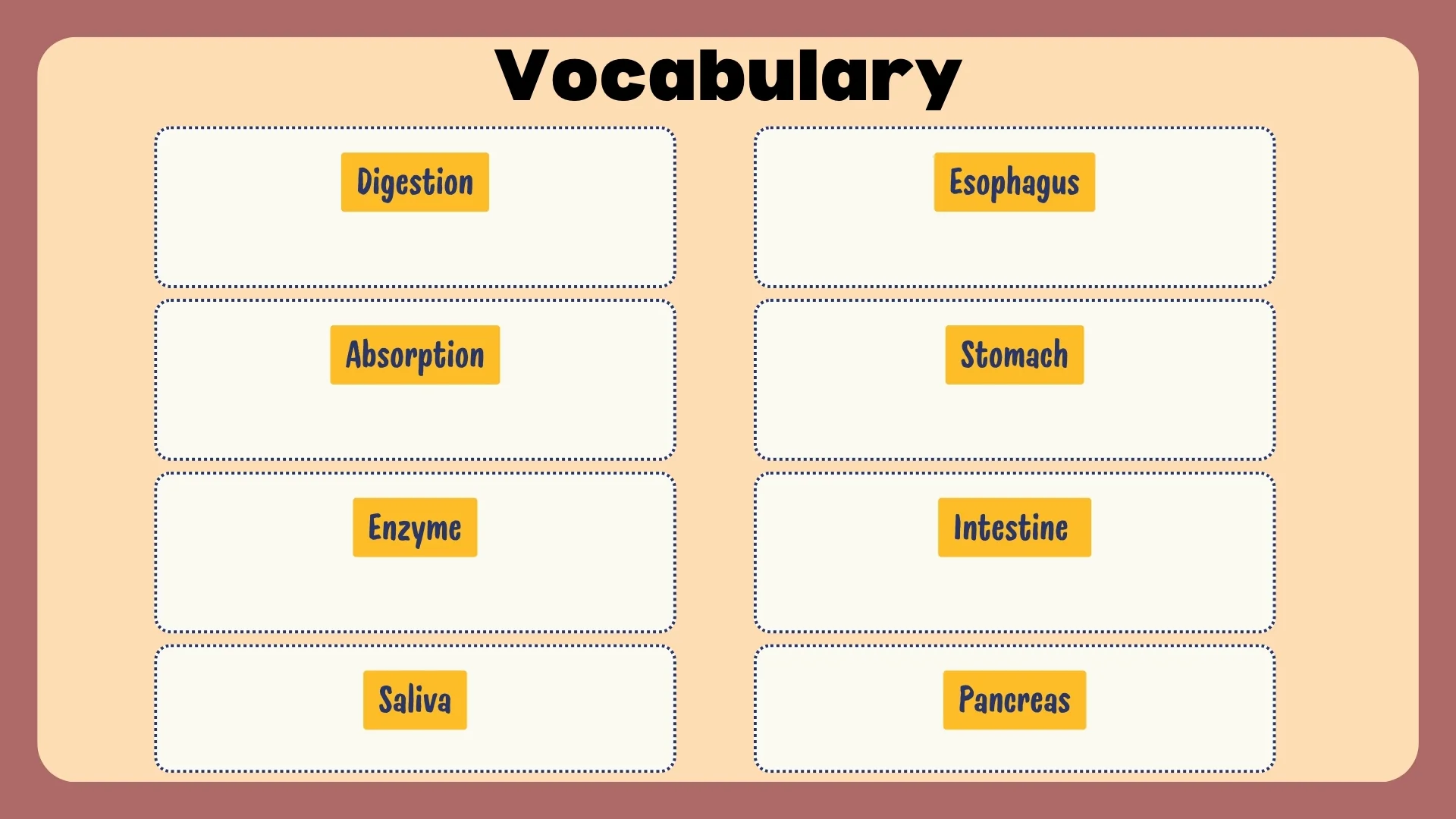 Vocabulary
