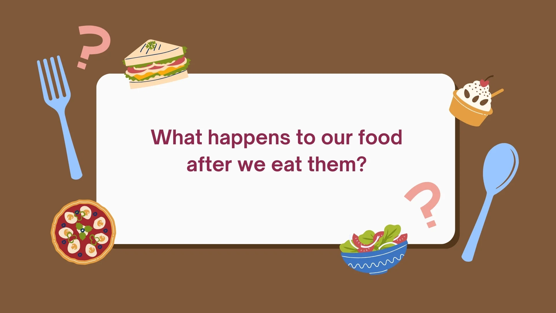 What happens to our food?