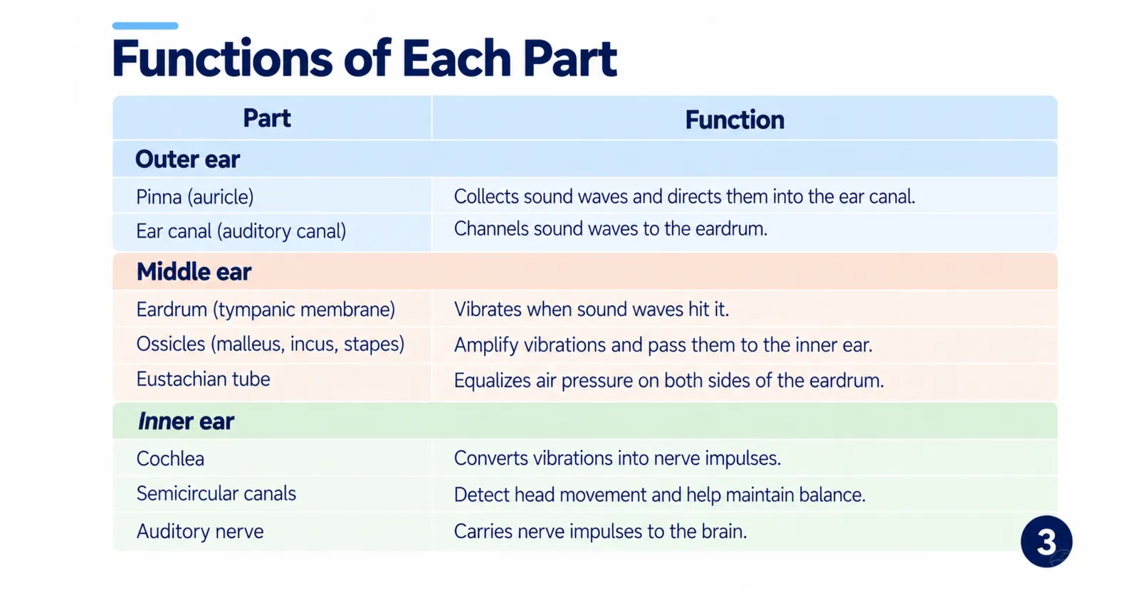 Table of ear parts and their functions: pinna, ear canal, eardrum, ossicles, Eustachian tube, cochlea, semicircular canals and auditory nerve