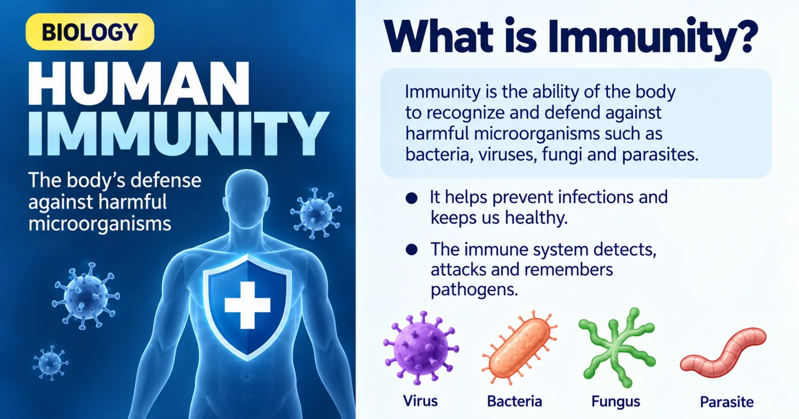 Human immunity: the body's defence against harmful microorganisms