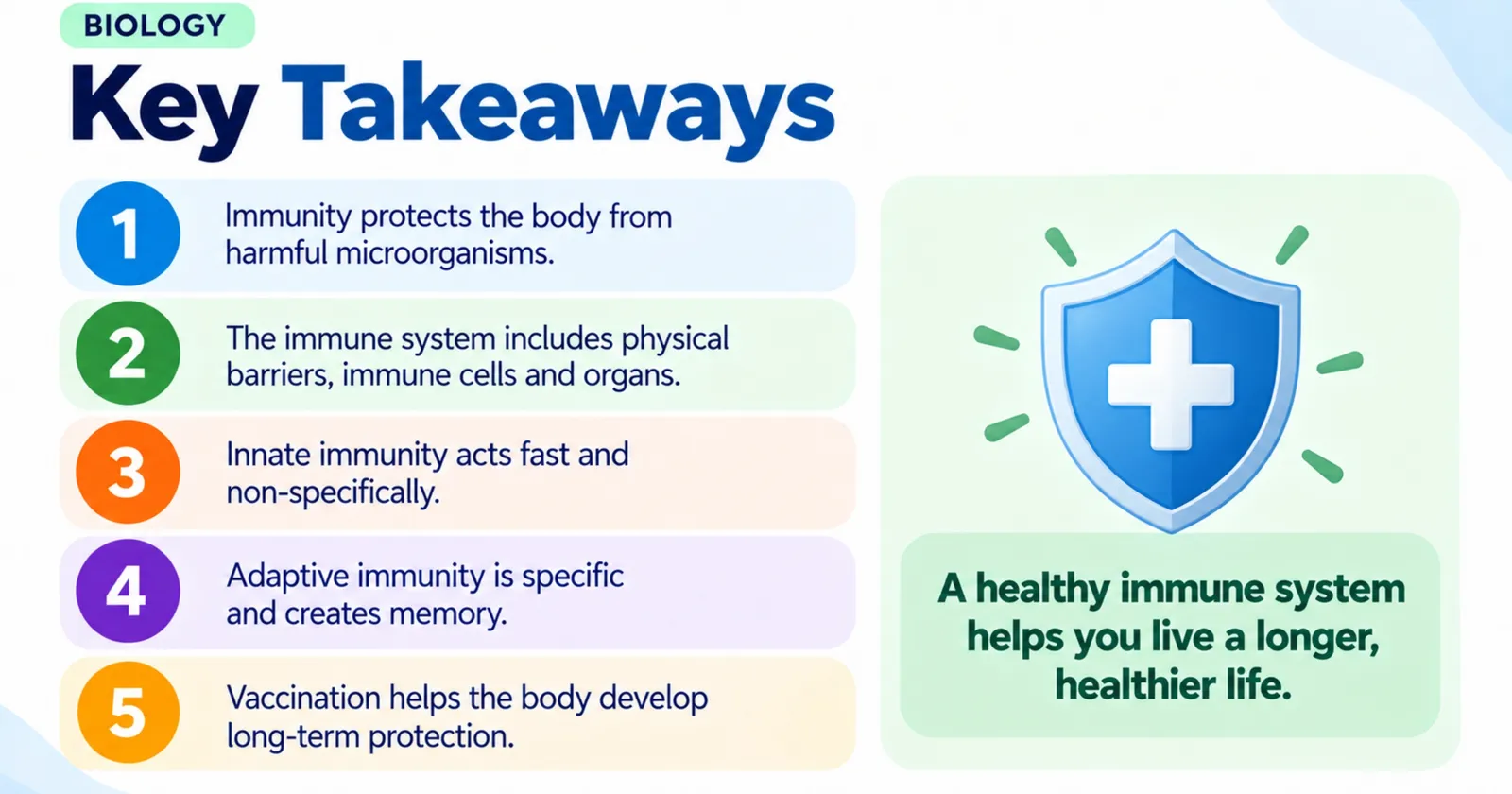 Human immunity key takeaways: barriers, innate and adaptive immunity, memory and vaccination