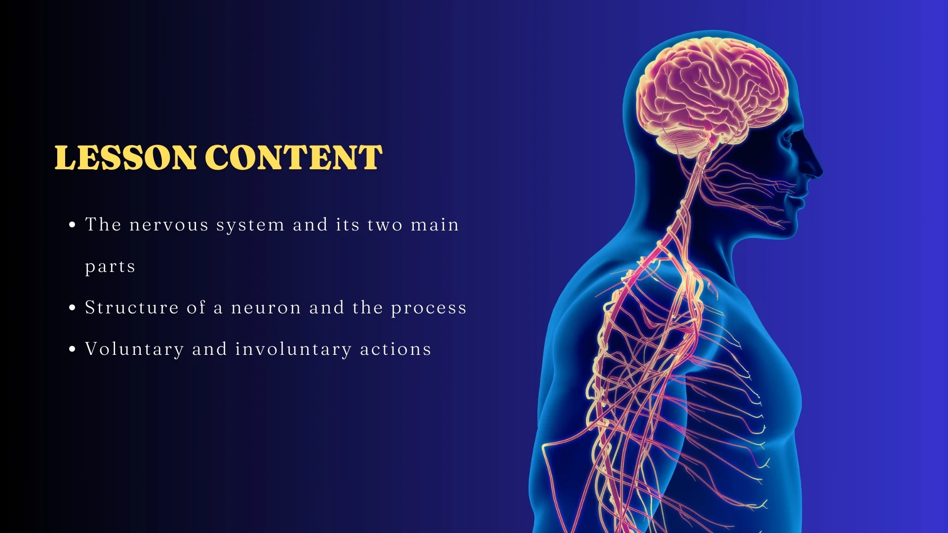 Lesson Content Overview