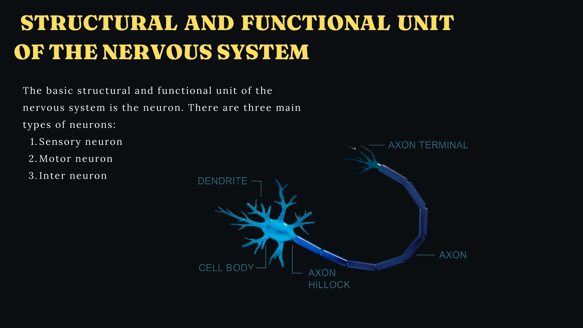 Structural and Functional Unit