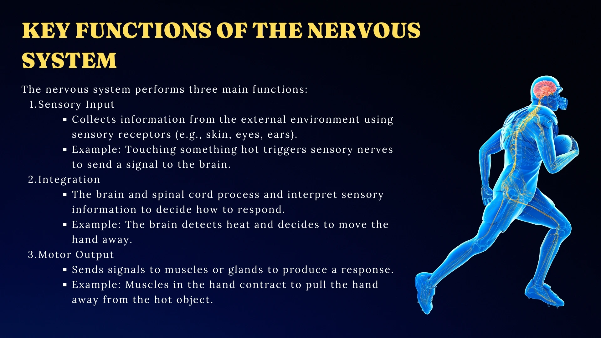 Key Functions