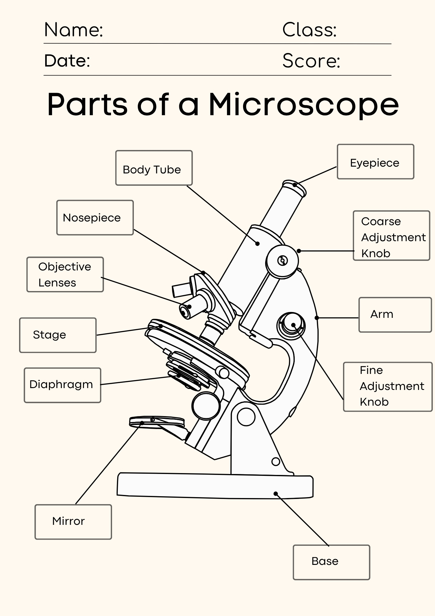 Microscope Parts Worksheet Answers