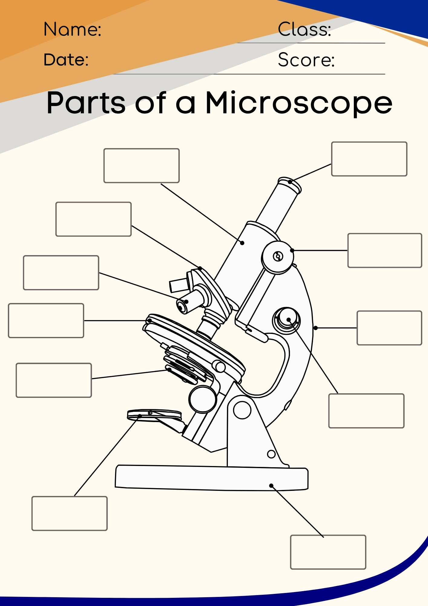 Microscope Parts Worksheet Questions