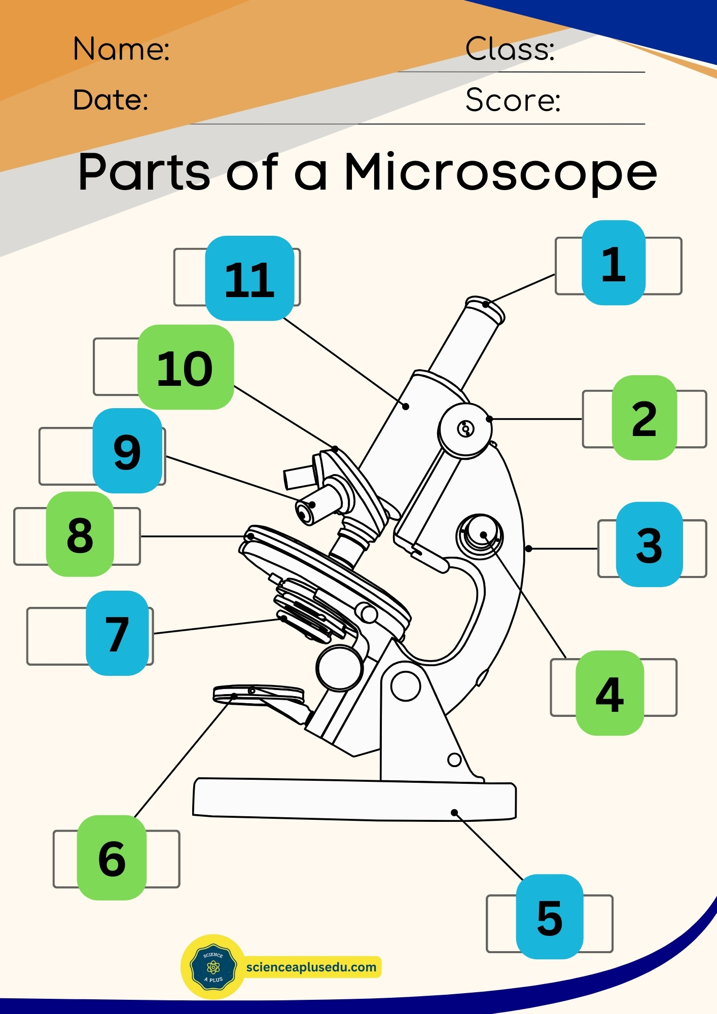 Parts of a Microscope