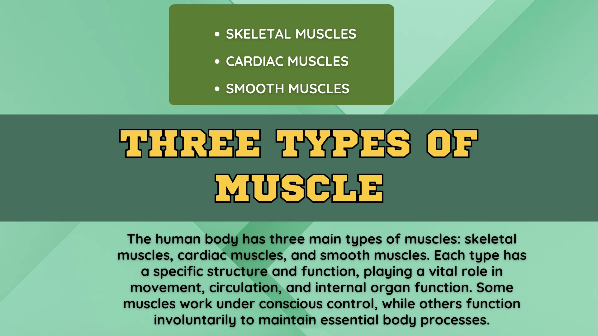 Three Types Overview