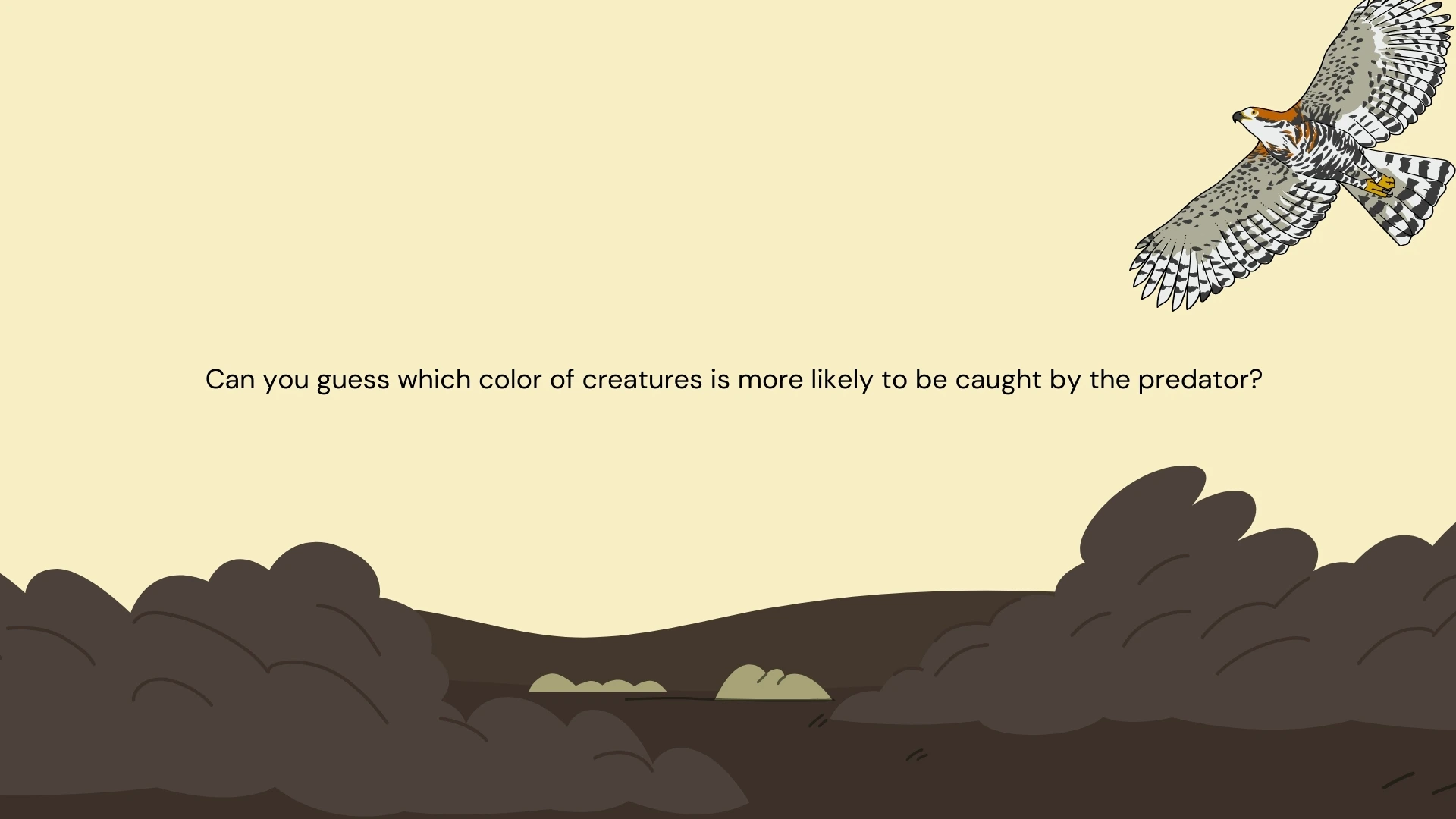 Predator and Prey - Which color survives?