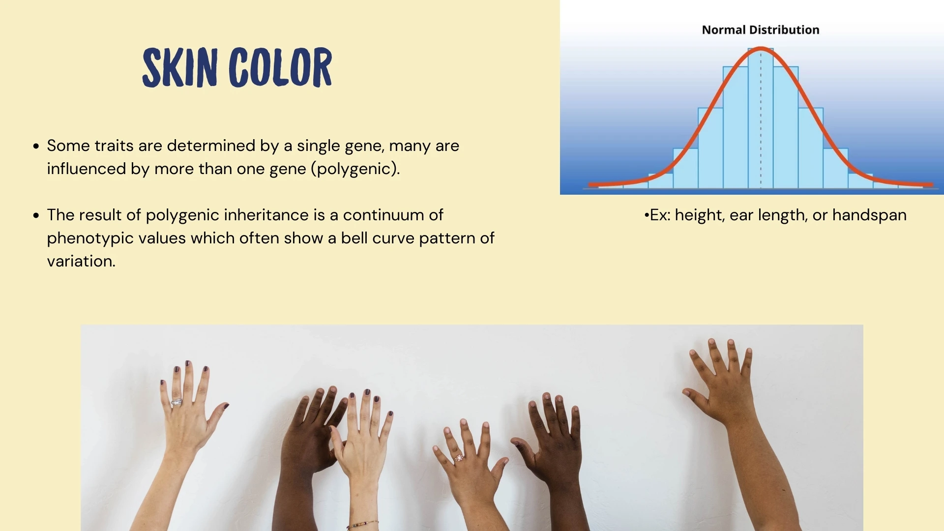 Skin Color - Polygenic Traits