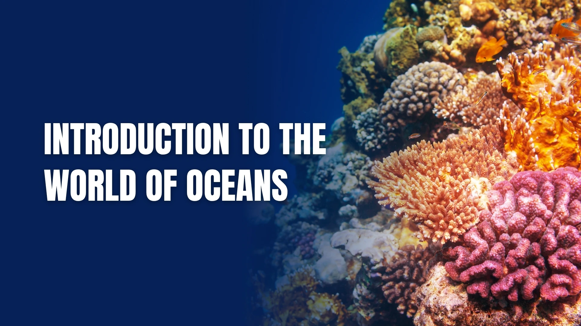 Introduction to the World of Oceans