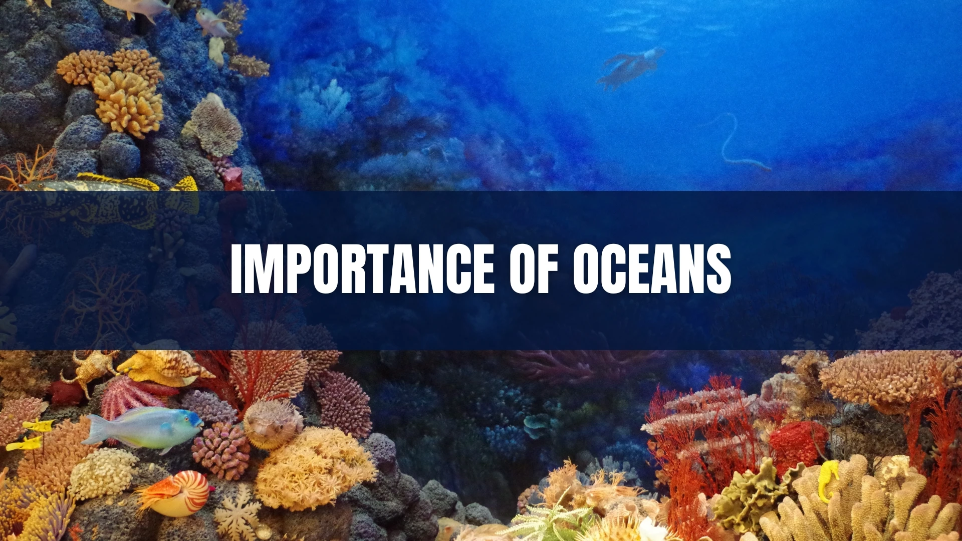 Importance of Oceans