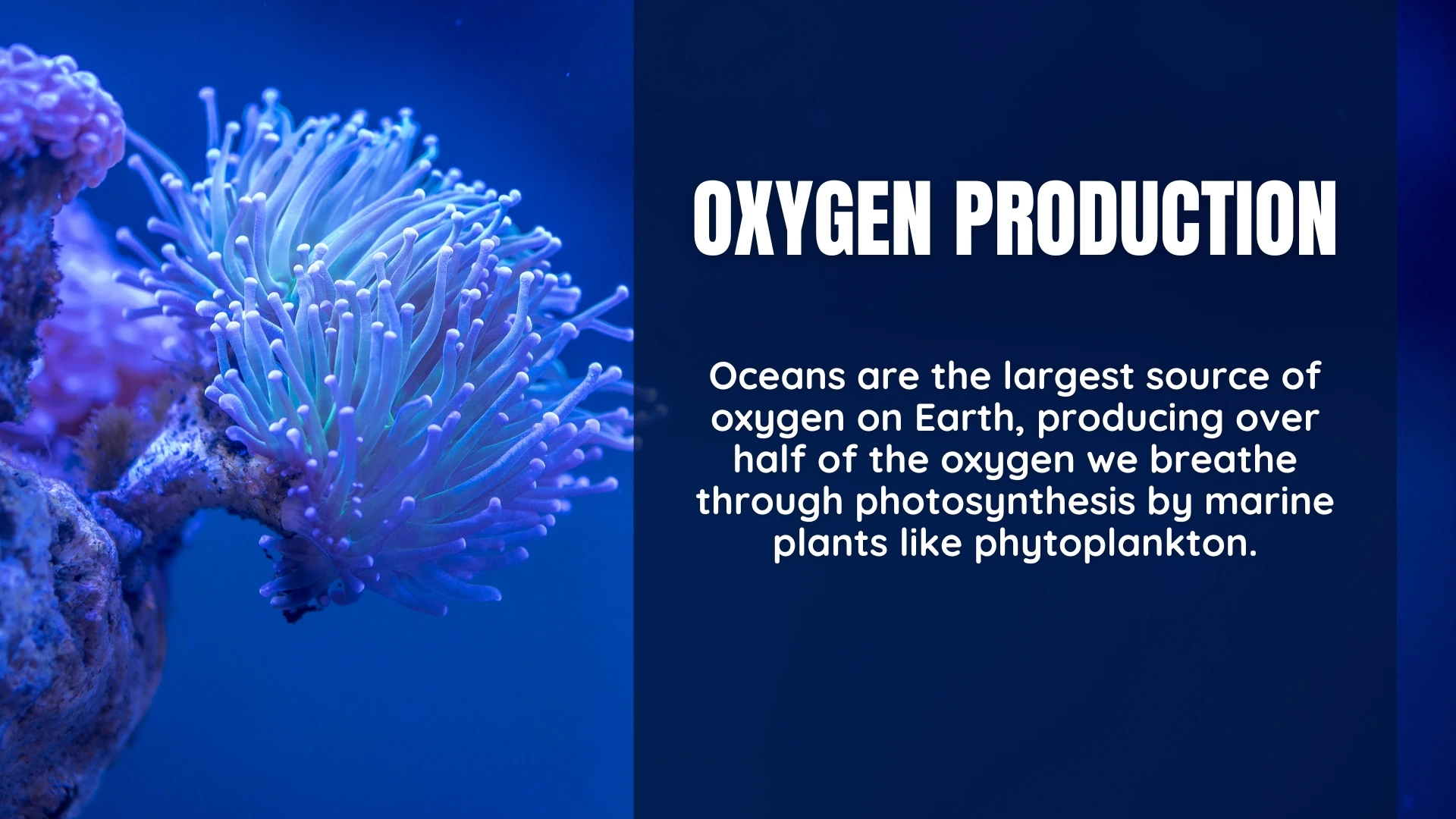 Oxygen Production