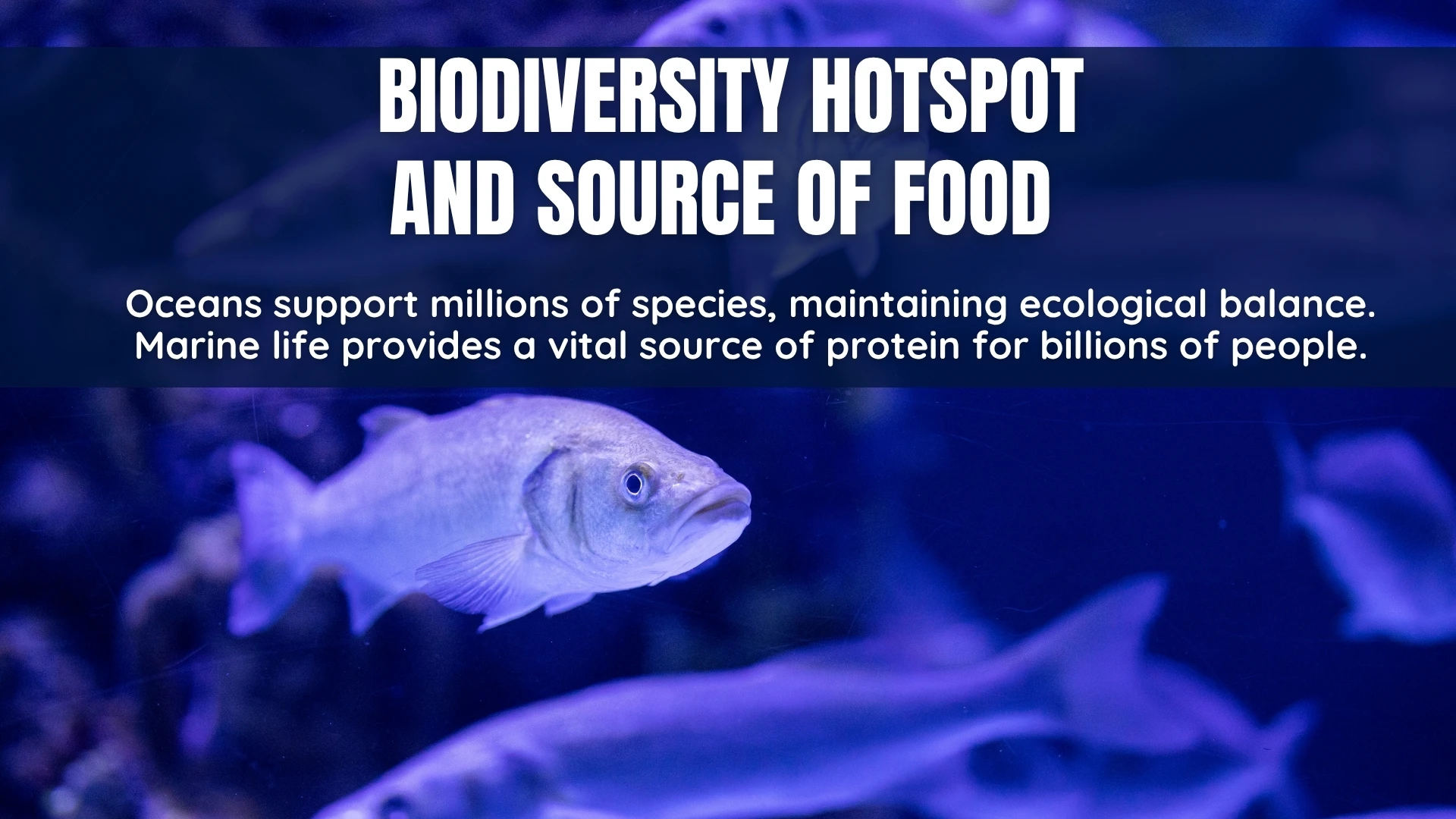 Biodiversity Hotspot and Source of Food