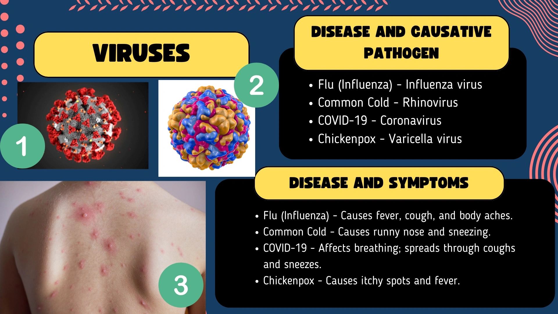 Viruses Diseases
