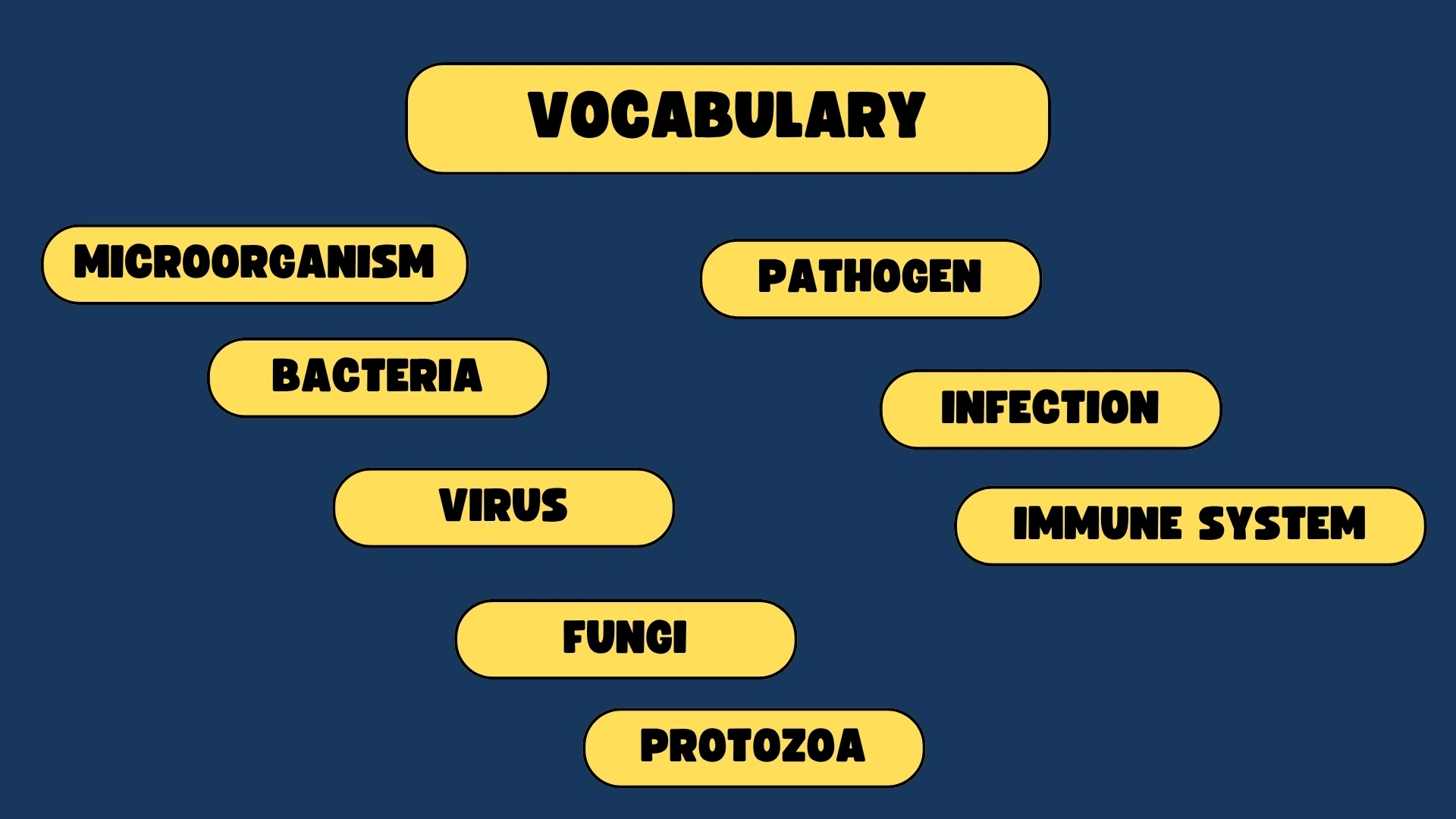 Vocabulary