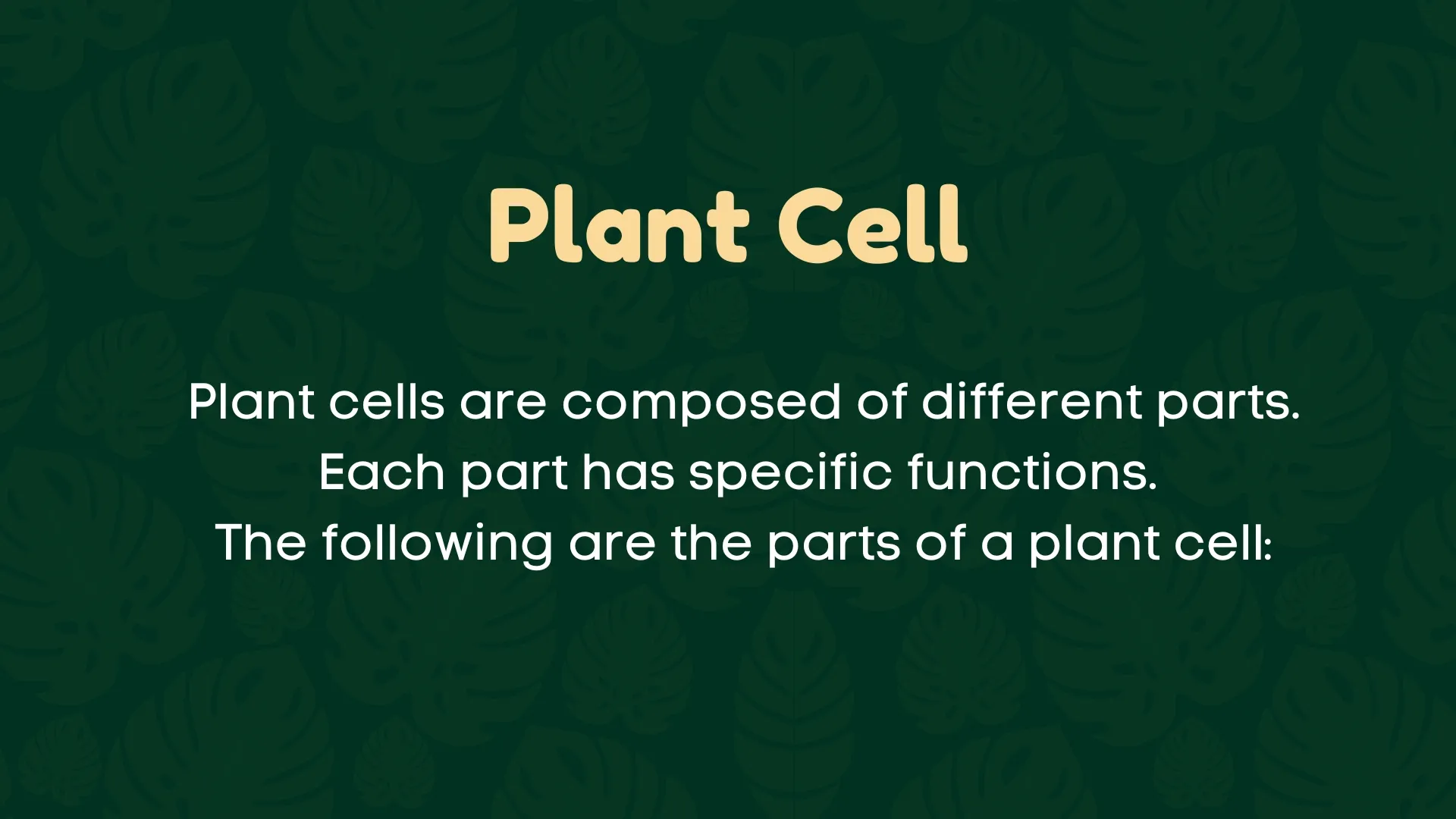 Plant Cell Parts Overview