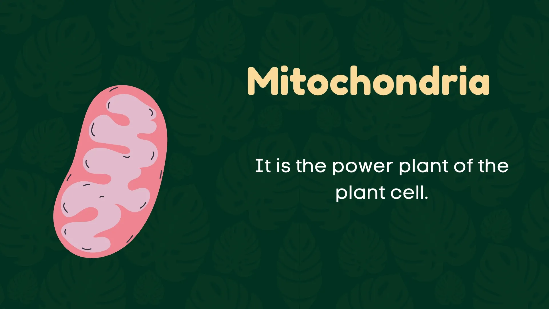 Mitochondria