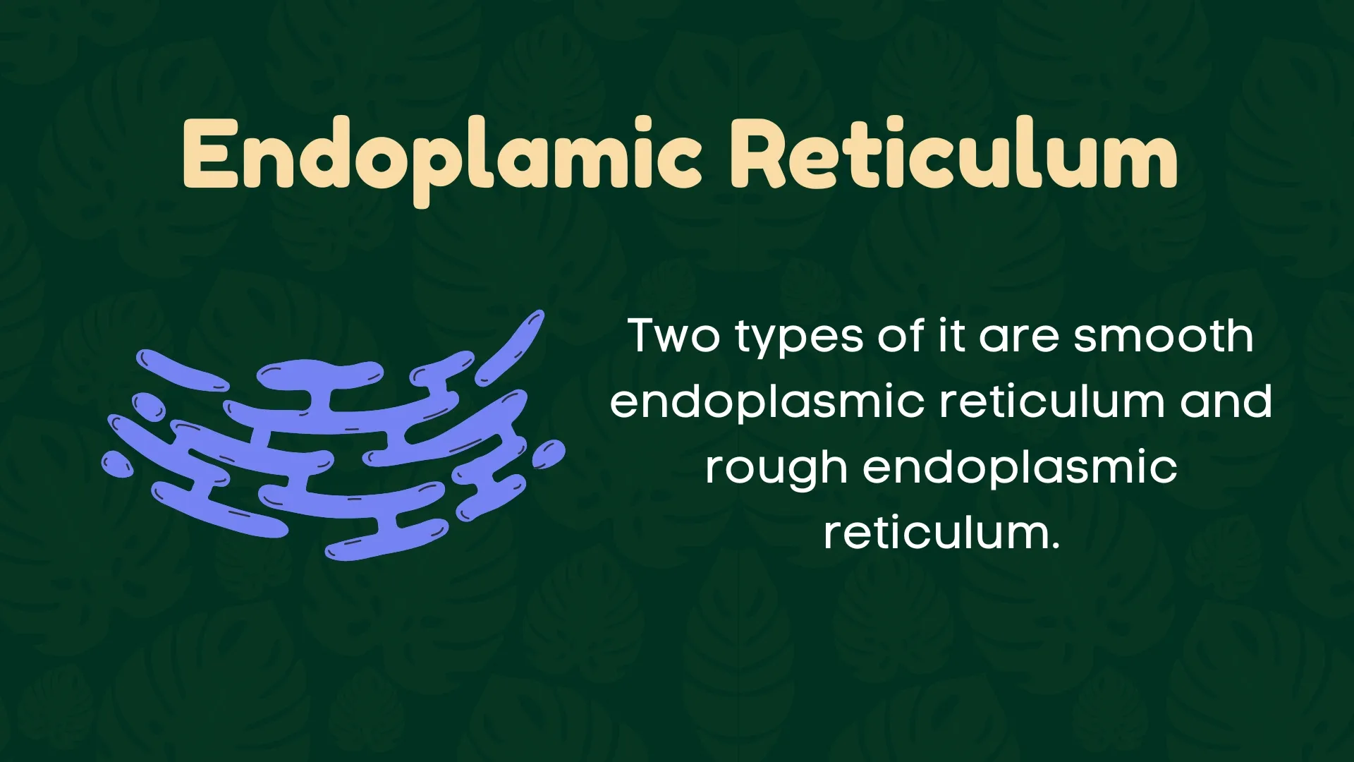 Endoplasmic Reticulum