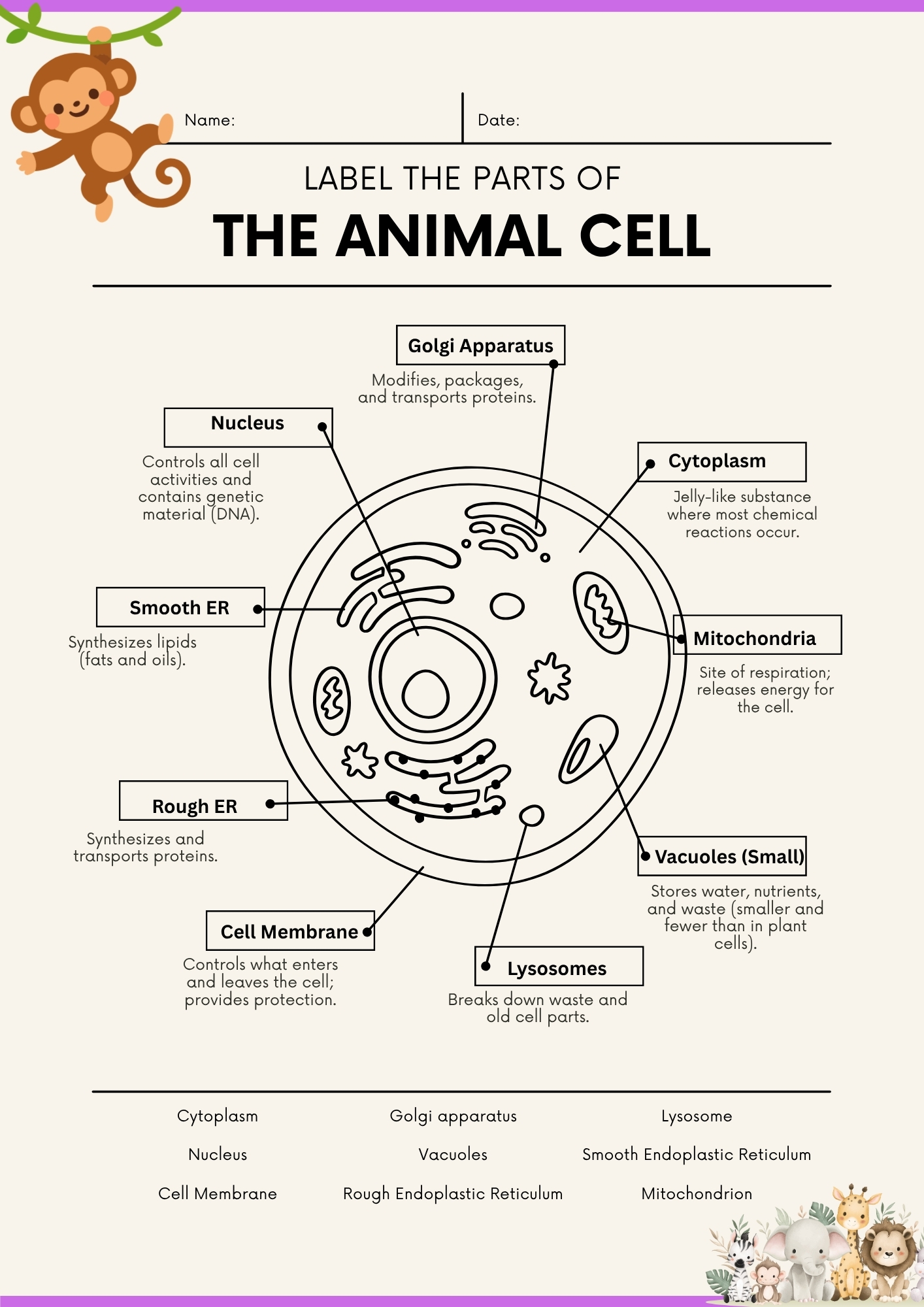 Parts of Animal Cell Worksheet