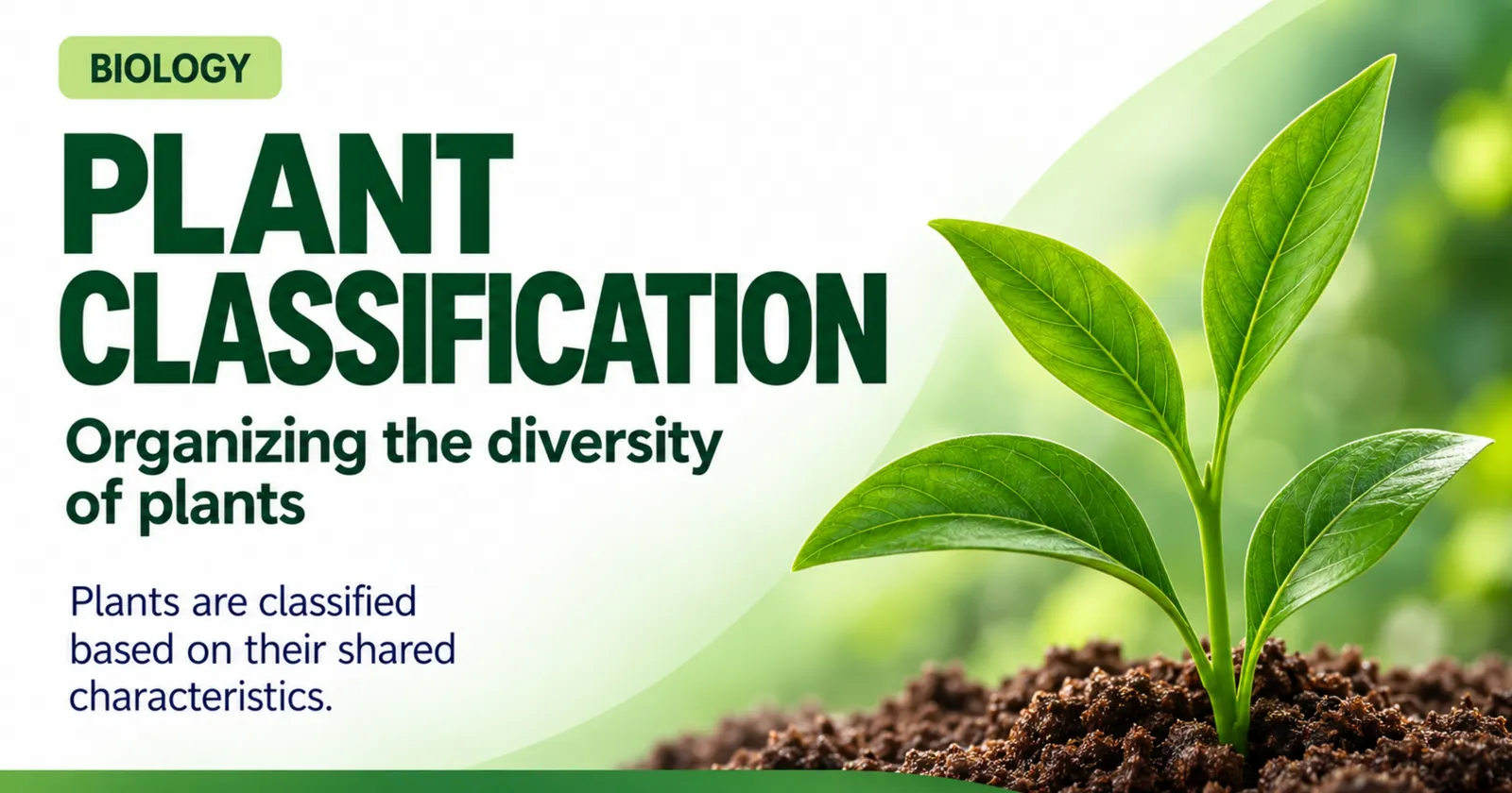 Plant classification: organising the diversity of plants by their shared characteristics